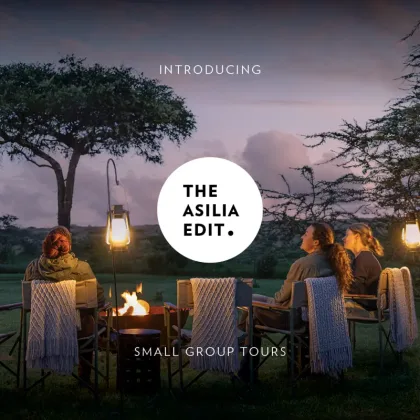 Asilia Naboisho