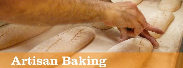 Seed Bakery