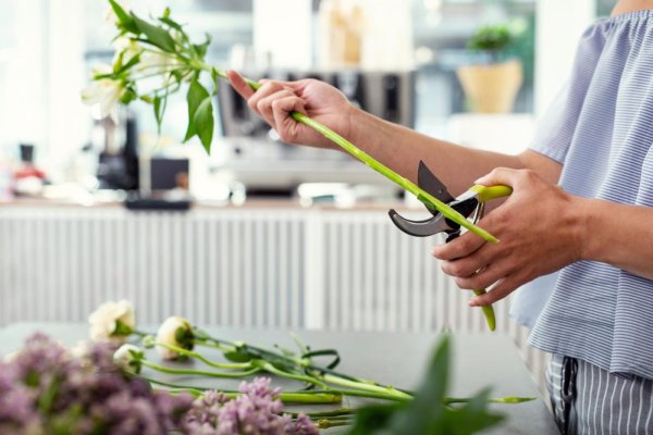 Stavebank Florist