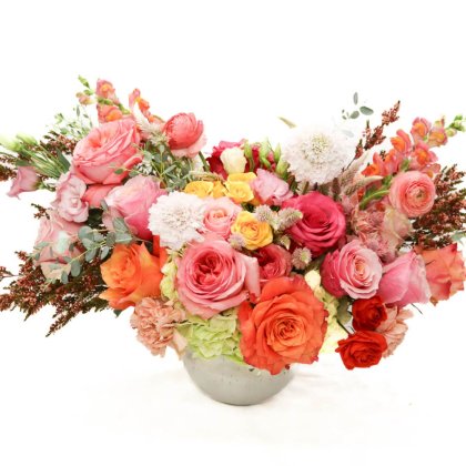 Le Jardin Rose