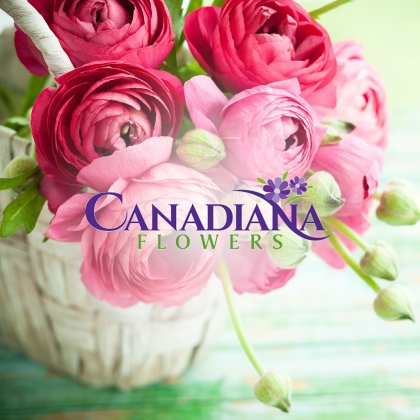 Westdale Florist