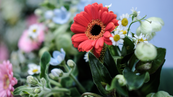Flowers by Special Arrangement