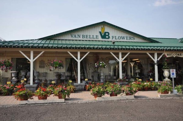 Van Belle's Floral Shoppe