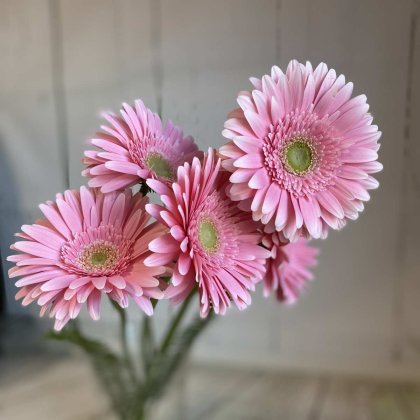 Michaleens Florist and Green House