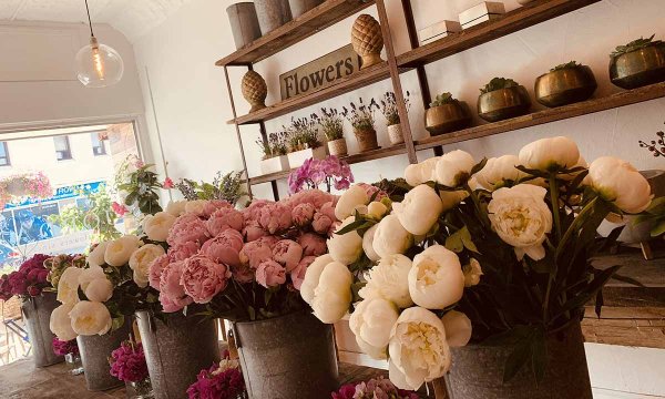 Jordan's Flowers