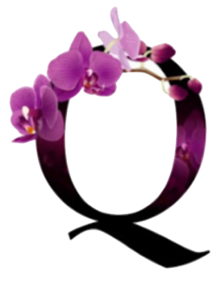 Q Florist