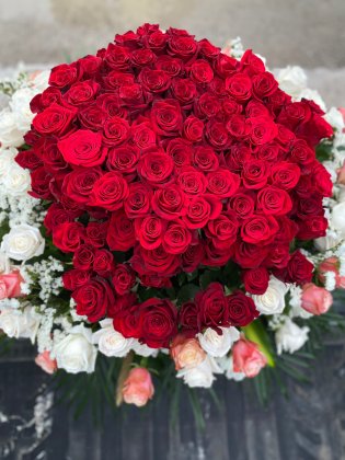 Million Rose Flowers