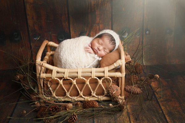 Cindy Harter Photography