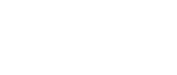 The Flower Store