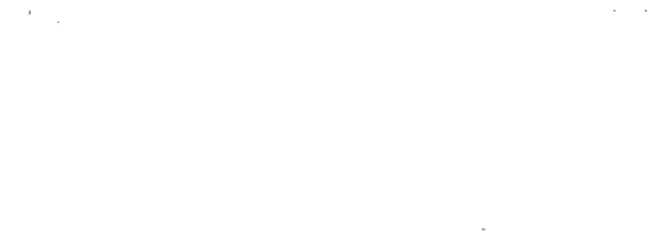 Coven Vegan Market