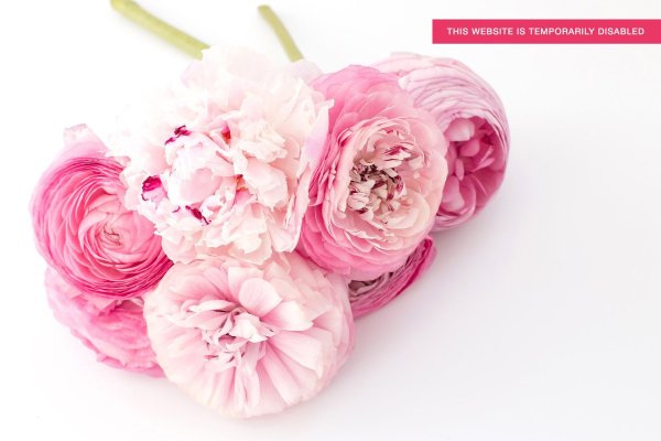 Enchanted Petals