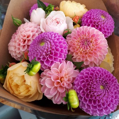 Warwick Dahlias