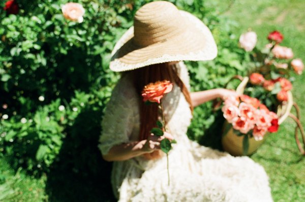 Zingaro Floral Perfumery