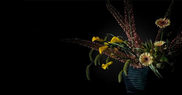 Arbutus Florist