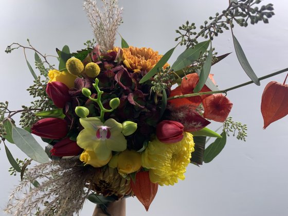 Plush Floral Studio