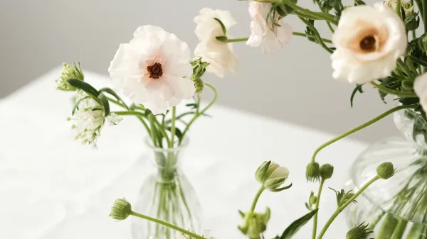 Black Earth Floral Gallery