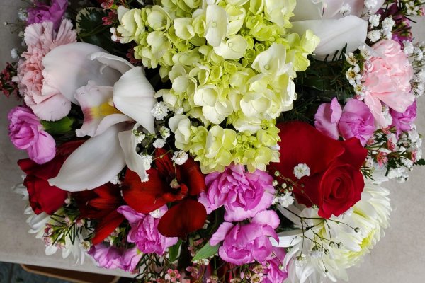 Harry's Flowers