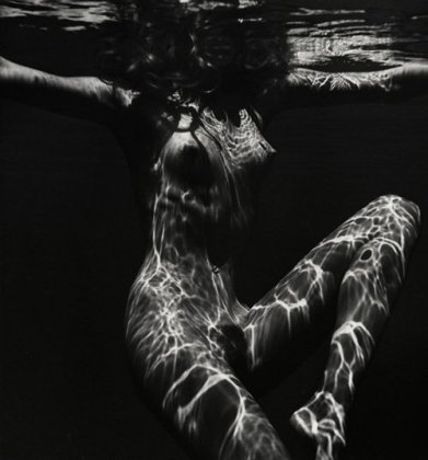Willem Photographic