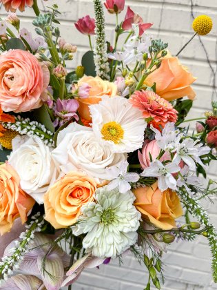 Rosebud & Co