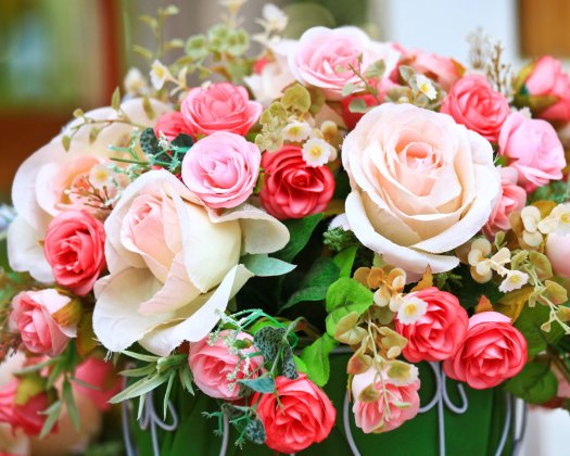 7 Red Roses