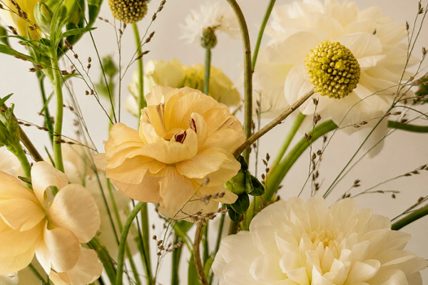 Bloomfields Flowers