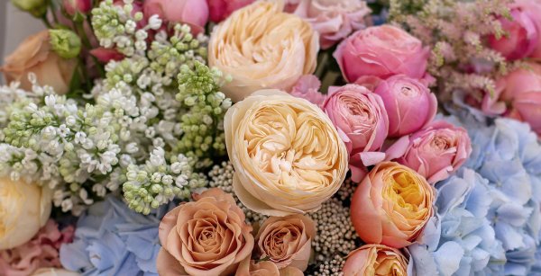 Fleuriste St Jovite
