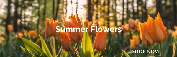 Brown Floral Co Inc