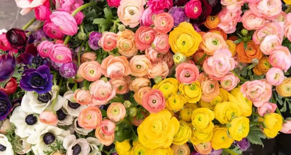 Greeenfield Flower Shop
