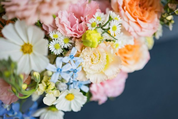 Wild Daisy Floral