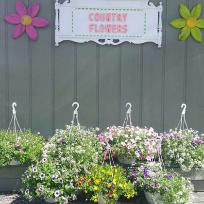 Country Flowers and More