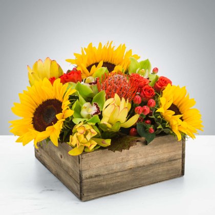 Petal Peddlers Florist