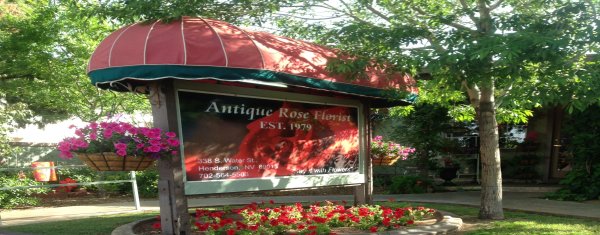 Antique Rose Florist