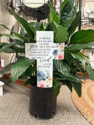 Sunnybrook Flower Shop & Greenhouse