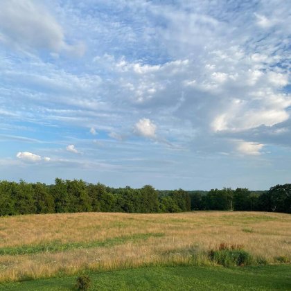 Moving Meadows Farm