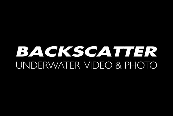 Backscatter East