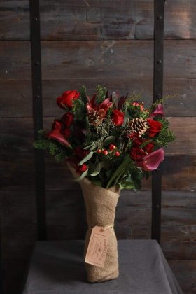 Gia and the Blooms