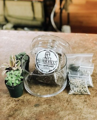 Roosevelt's Terrariums