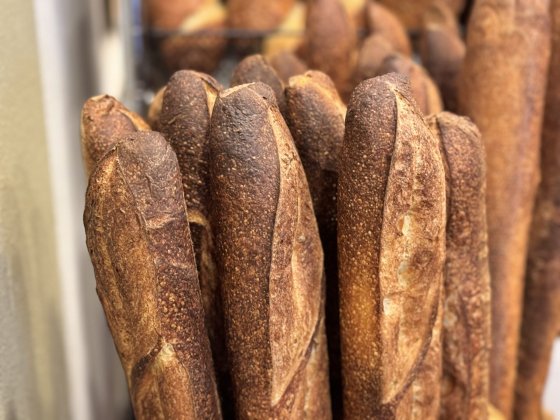 Pacific Sourdough
