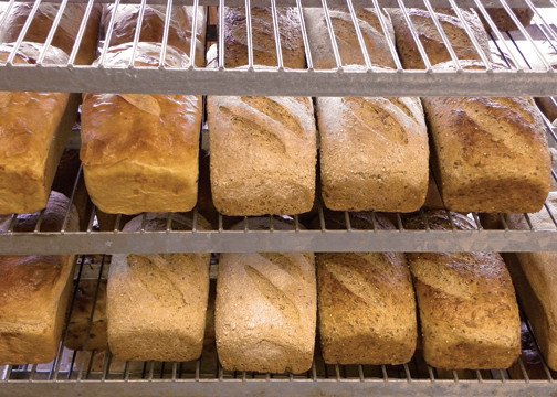 Great Harvest Bread Co.
