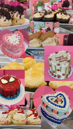 The Cupcake Company