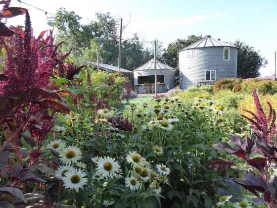 Grain Bin Flowers