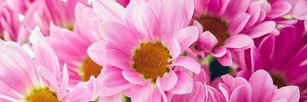 Blakelee's Bouquets