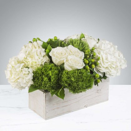 Argi's Flower Shop