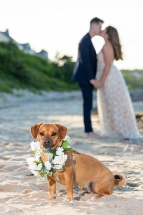 Kimberly Finn Photography