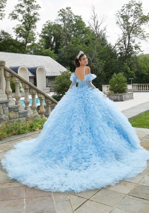 Quinceaneras Dresses