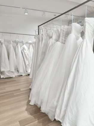 The Ivory Concept