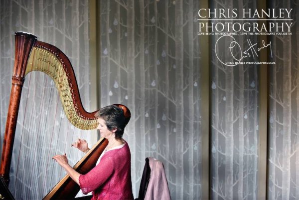 Absolute Harp
